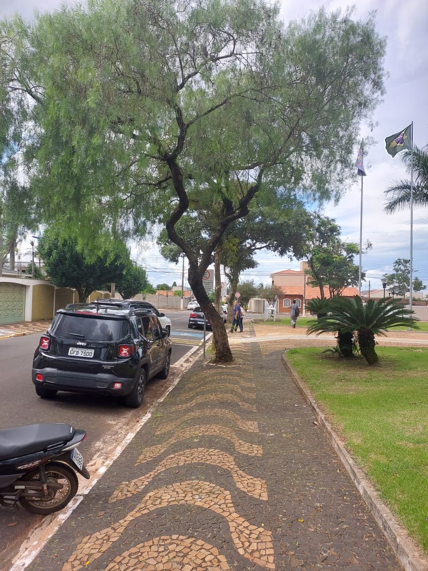 Imagem da notícia: Aprovado Substitutivo de Projeto sobre arborização