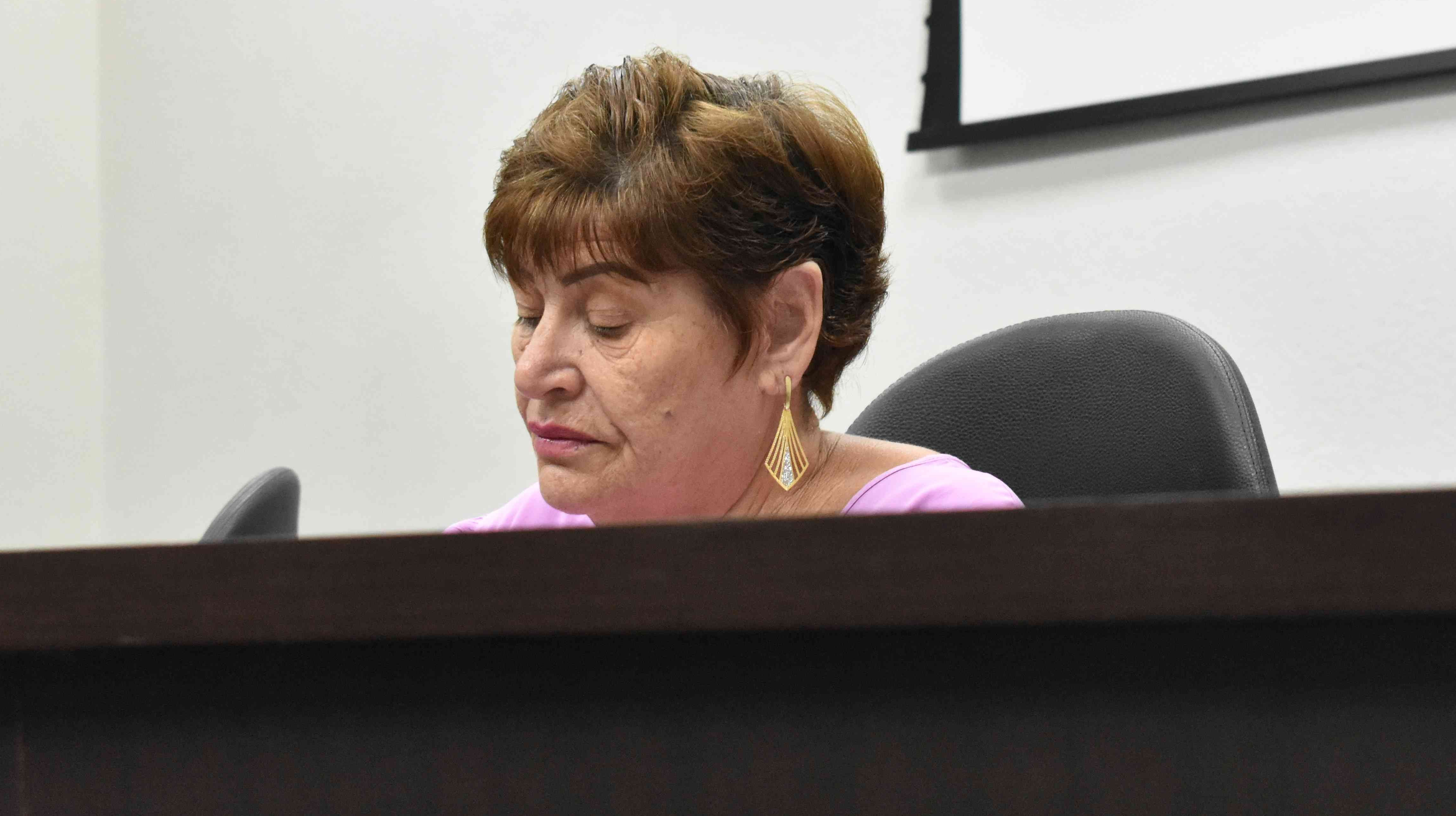 Imagem da notícia: Ver. Neusa Damélio repudia a prestação de serviço da Neoenergia (Elektro)